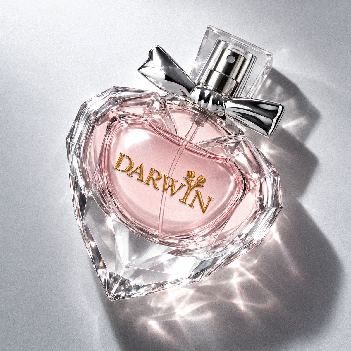 Darwyn – Eau de Parfum 50 ml
