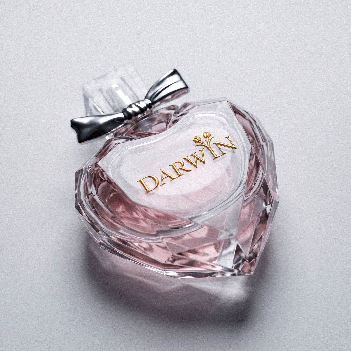 Darwyn – Eau de Parfum 50 ml