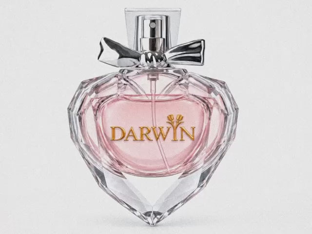 Darwyn – Eau de Parfum 50 ml